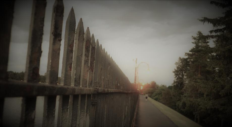 Cobbs Hill Reservoir Fence Our Story